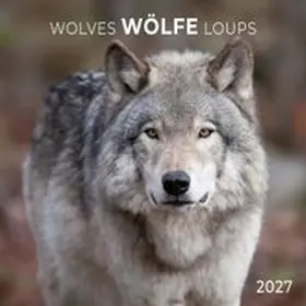  Wölfe / Wolves 2027 | Sonstiges |  Sack Fachmedien