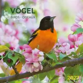  Vögel / Birds 2027 | Sonstiges |  Sack Fachmedien