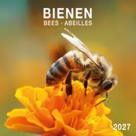  Bienen / Bees 2027 | Sonstiges |  Sack Fachmedien