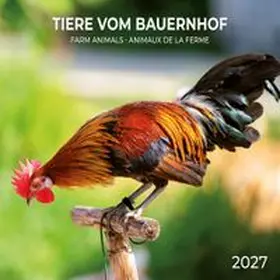 Tiere vom Bauernhof / Farm Animals 2027 | Sonstiges |  Sack Fachmedien