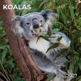  Koalas 2027 | Sonstiges |  Sack Fachmedien