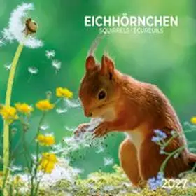  Eichhörnchen / Squirrels 2027 | Sonstiges |  Sack Fachmedien