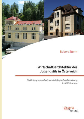 Sturm | Wirtschaftsarchitektur des Jugendstils in Österreich: Ein Beitrag zur industriearchäologischen Forschung in Mitteleuropa | Buch | 978-3-95935-514-8 | sack.de