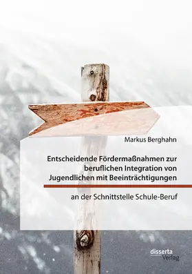 Berghahn | Entscheidende Fördermaßnahmen zur beruflichen Integration von Jugendlichen mit Beeinträchtigungen an der Schnittstelle Schule-Beruf | E-Book | sack.de