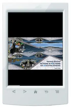 Bischof |  FICTIONS ¿ FRICTIONS | eBook | Sack Fachmedien
