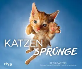 Casteel |  Katzensprünge | eBook | Sack Fachmedien