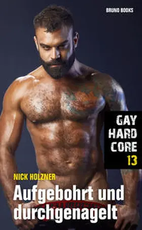 Holzner |  Gay Hardcore 13: Aufgebohrt und durchgenagelt | Buch |  Sack Fachmedien