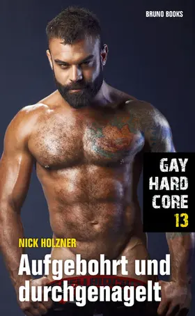 Holzner |  Gay Hardcore 13: Aufgebohrt und durchgenagelt | eBook | Sack Fachmedien