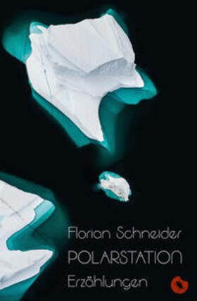 Schneider |  Polarstation - Erzählungen | Buch |  Sack Fachmedien