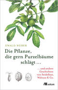 Weber |  Die Pflanze, die gern Purzelbäume schlägt ... | Buch |  Sack Fachmedien