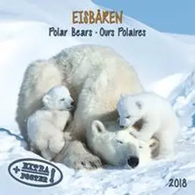Eisbären 2018 | Sonstiges | 978-3-96013-421-3 | www.sack.de