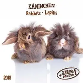 Kaninchen 2018 | Sonstiges | 978-3-96013-434-3 | www.sack.de