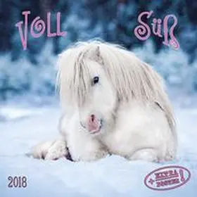 Voll süß 2018 | Sonstiges | 978-3-96013-439-8 | www.sack.de