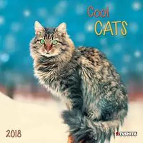  Cool Cats 2018 | Sonstiges |  Sack Fachmedien