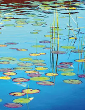  Lily Pads | Buch |  Sack Fachmedien