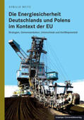 Reitz |  Die Energiesicherheit Deutschlands und Polens im Kontext der EU | Buch |  Sack Fachmedien