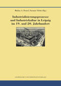Denzel / Schötz |  Industrialisierungsprozesse und Industriekultur in Leipzig im 19. und 20. Jahrhundert | Buch |  Sack Fachmedien