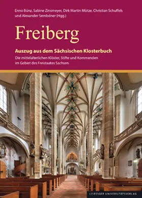 Bünz / Zinsmeyer / Mütze |  Freiberg | Buch |  Sack Fachmedien