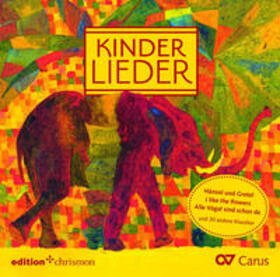 Kinderlieder | Sonstiges | 978-3-96038-266-9 | sack.de