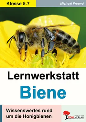 Freund |  Lernwerkstatt Biene | Buch |  Sack Fachmedien