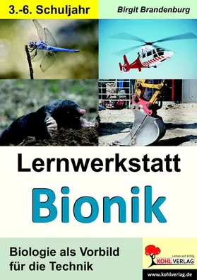 Brandenburg | Lernwerkstatt Bionik | E-Book | www.sack.de