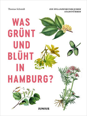 Schmidt |  Was grünt und blüht in Hamburg? | Buch |  Sack Fachmedien