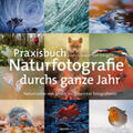 Schoonhoven |  Praxisbuch Naturfotografie durchs ganze Jahr | eBook | Sack Fachmedien