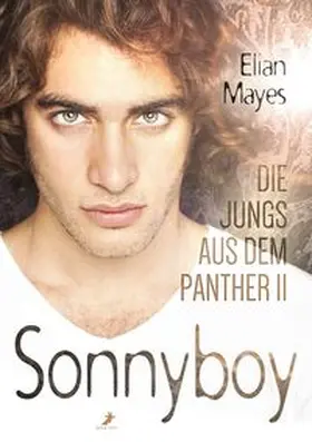 Mayes |  Die Jungs aus dem Panther 2 | Buch |  Sack Fachmedien
