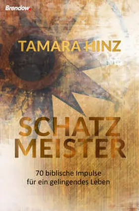 Hinz |  Schatzmeister | Buch |  Sack Fachmedien