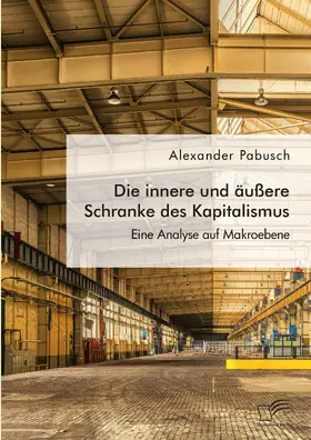 Pabusch |  Die innere und äußere Schranke des Kapitalismus. Eine Analyse auf Makroebene | Buch |  Sack Fachmedien