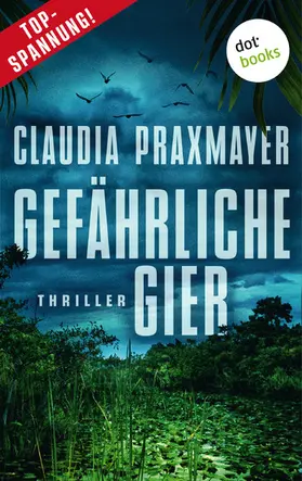 Praxmayer |  Gefährliche Gier | eBook | Sack Fachmedien