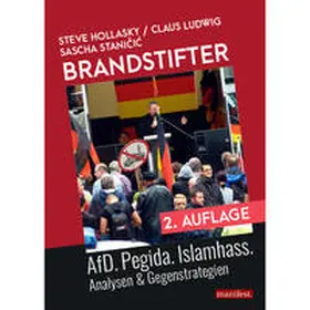Hollasky / Ludwig / Stanicic |  Brandstifter | Buch |  Sack Fachmedien