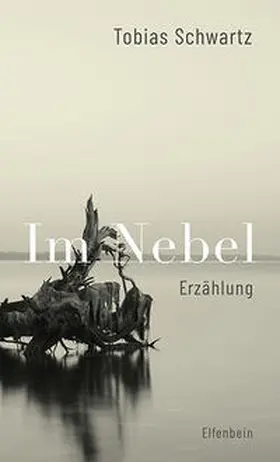 Schwartz |  Im Nebel | Buch |  Sack Fachmedien