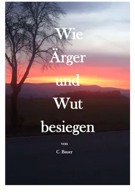 Bauer |  Wie Ärger und Wut besiegen | eBook | Sack Fachmedien