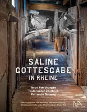 Beilmann-Schöner / Kerrutt |  Saline Gottesgabe in Rheine | Buch |  Sack Fachmedien