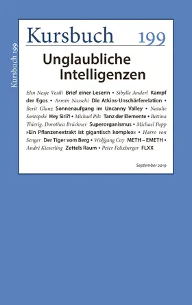 Nassehi / Felixberger | Kursbuch 199 | E-Book | www.sack.de