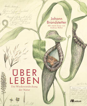 Brandstetter / Weber | Über Leben | Buch | 978-3-96238-133-2 | sack.de