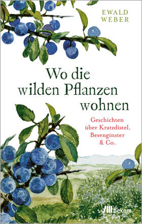 Weber | Wo die wilden Pflanzen wohnen | Buch | 978-3-96238-343-5 | sack.de