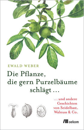 Weber | Die Pflanze, die gern Purzelbäume schlägt … | E-Book | sack.de