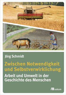 Schmidt | Zwischen Notwendigkeit und Selbstverwirklichung | E-Book | sack.de