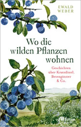 Weber | Wo die wilden Pflanzen wohnen | E-Book | www.sack.de