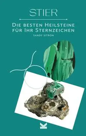 Sitron |  Stier | Buch |  Sack Fachmedien