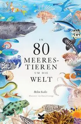 Scales |  In 80 Meerestieren um die Welt | Buch |  Sack Fachmedien