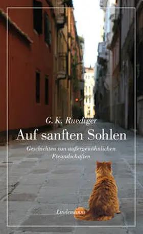 Ruediger |  Auf sanften Sohlen | Buch |  Sack Fachmedien