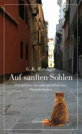 Ruediger |  Auf sanften Sohlen | eBook | Sack Fachmedien