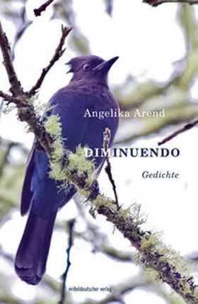 Arend |  Diminuendo | Buch |  Sack Fachmedien