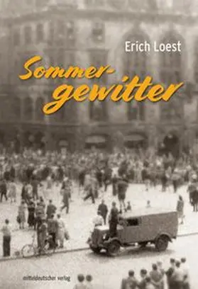 Loest |  Sommergewitter | Buch |  Sack Fachmedien