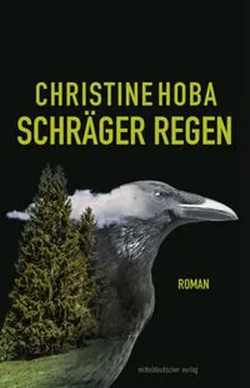 Hoba |  Schräger Regen | Buch |  Sack Fachmedien