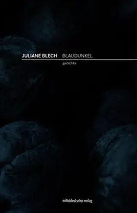 Blech |  Blaudunkel | Buch |  Sack Fachmedien