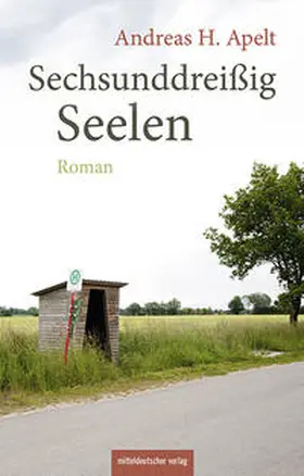Apelt |  Sechsunddreißig Seelen | Buch |  Sack Fachmedien